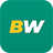BetWinner